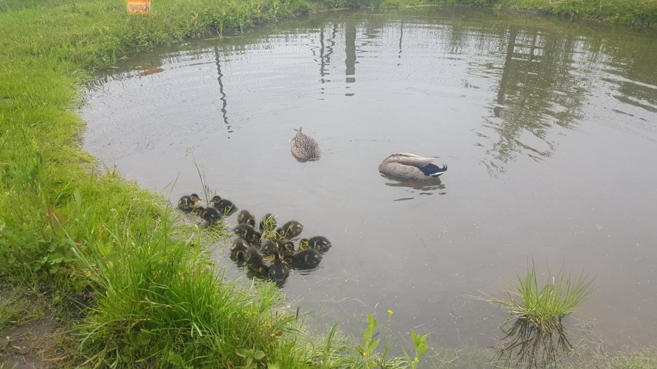 Ferienwohnung Auf Dem Bauernhof Grossraeschen Luaran gambar